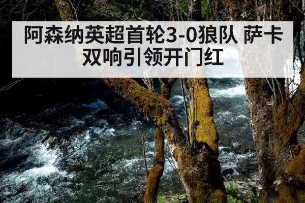 阿森纳英超首轮3-0狼队 萨卡双响引领开门红